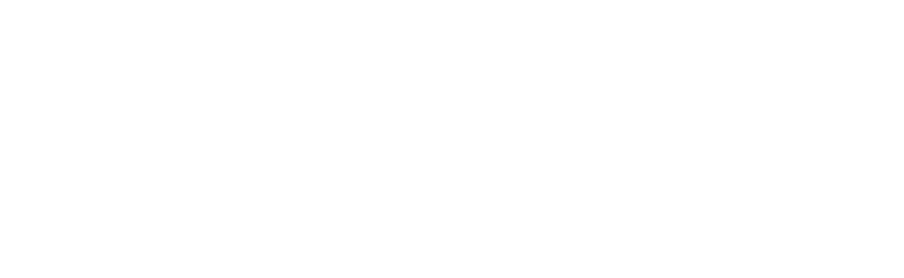 NUEVO LOGO-12